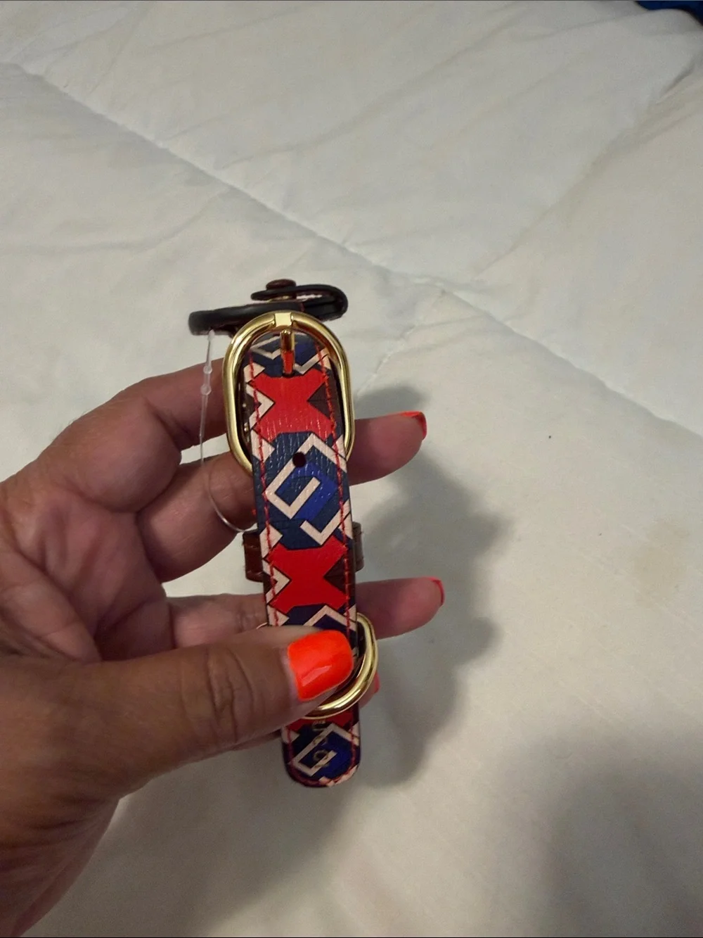 Gucci medium pet collar